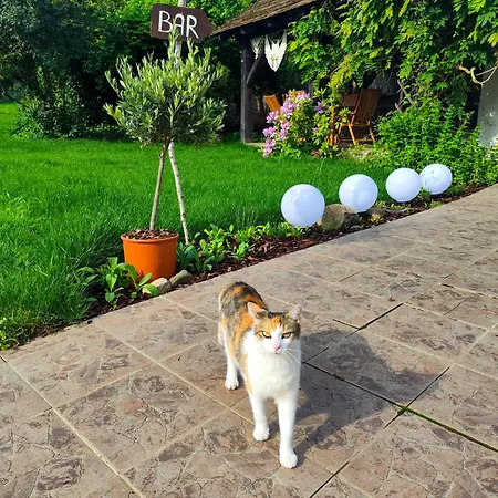 Statek Naporad Konukevi Predslawitz